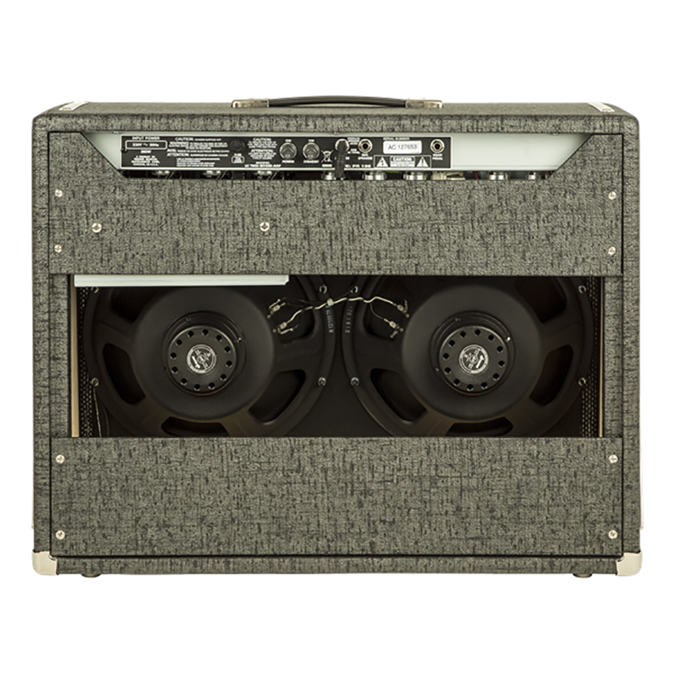Fender GB Twin Reverb - George Benson Signature Amp - Image 3