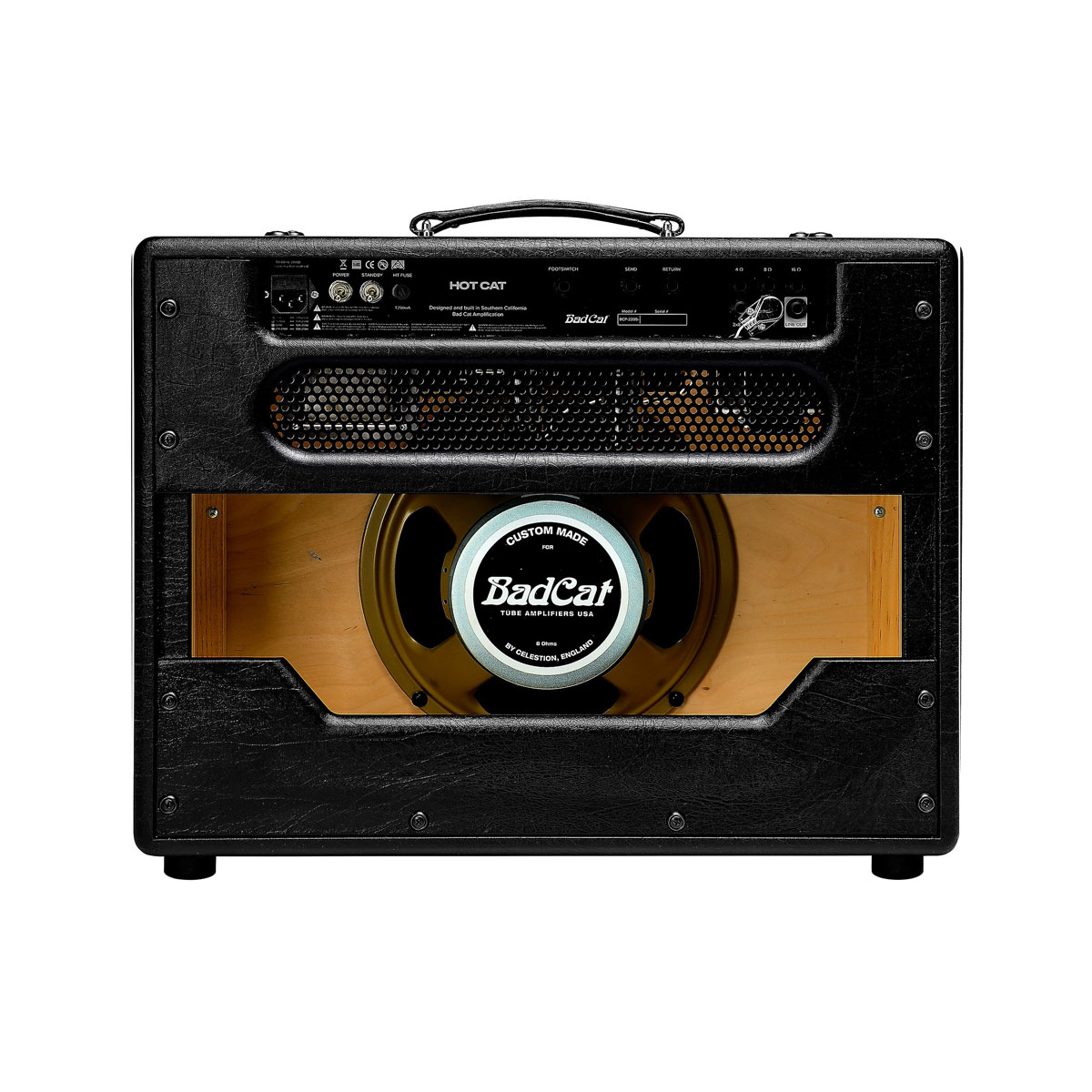 Bad Cat Hot Cat 1x12 45W Tube Combo Amp - Black - Image 2