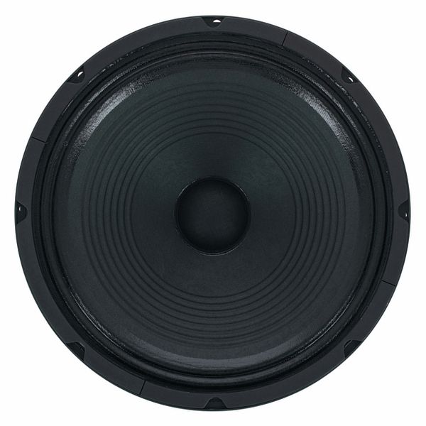 Jensen Blackbird 40 12" Speaker - 40W, 16 Ohm