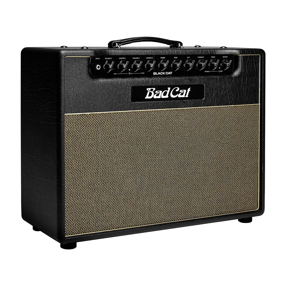 Bad Cat Black Cat 1x12 20W Tube Combo Amp - Black - Image 3