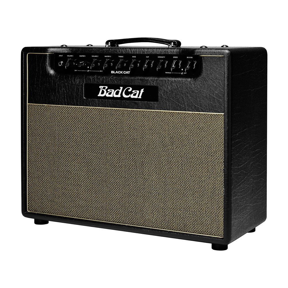 Bad Cat Black Cat 1x12 20W Tube Combo Amp - Black - Image 4